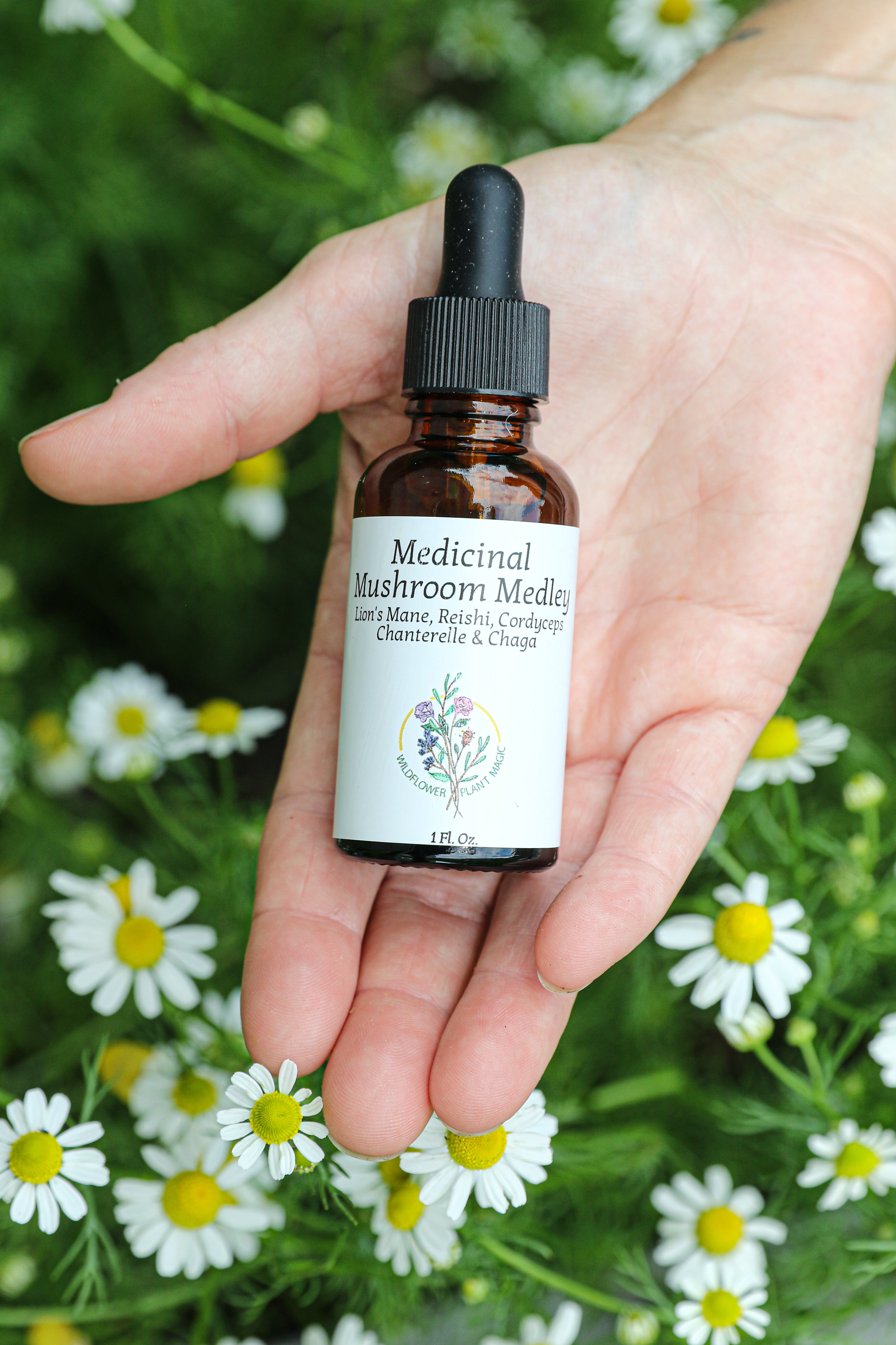 Medicinal Mushroom Medley Tincture