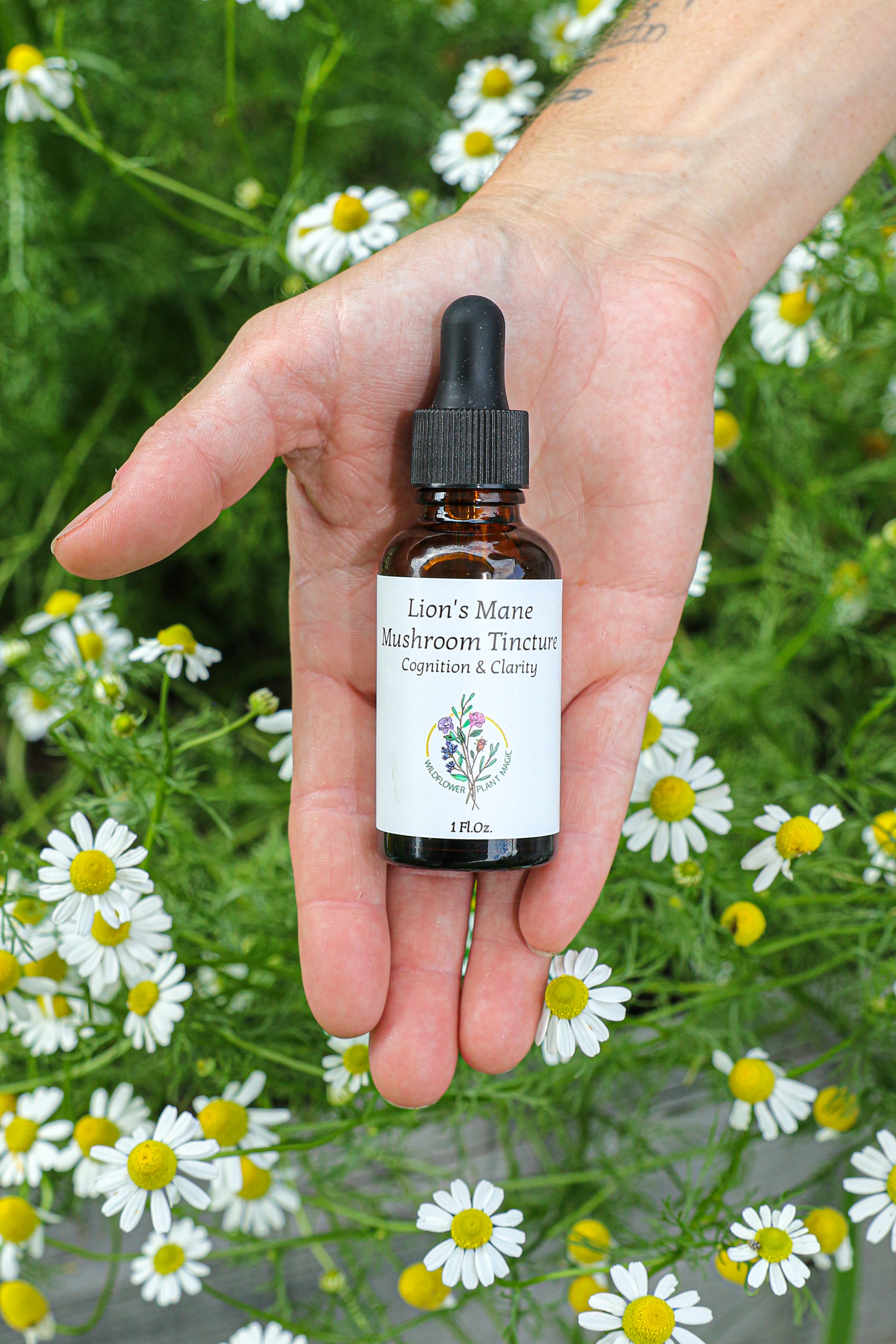 Lion's Mane Mushroom Tincture