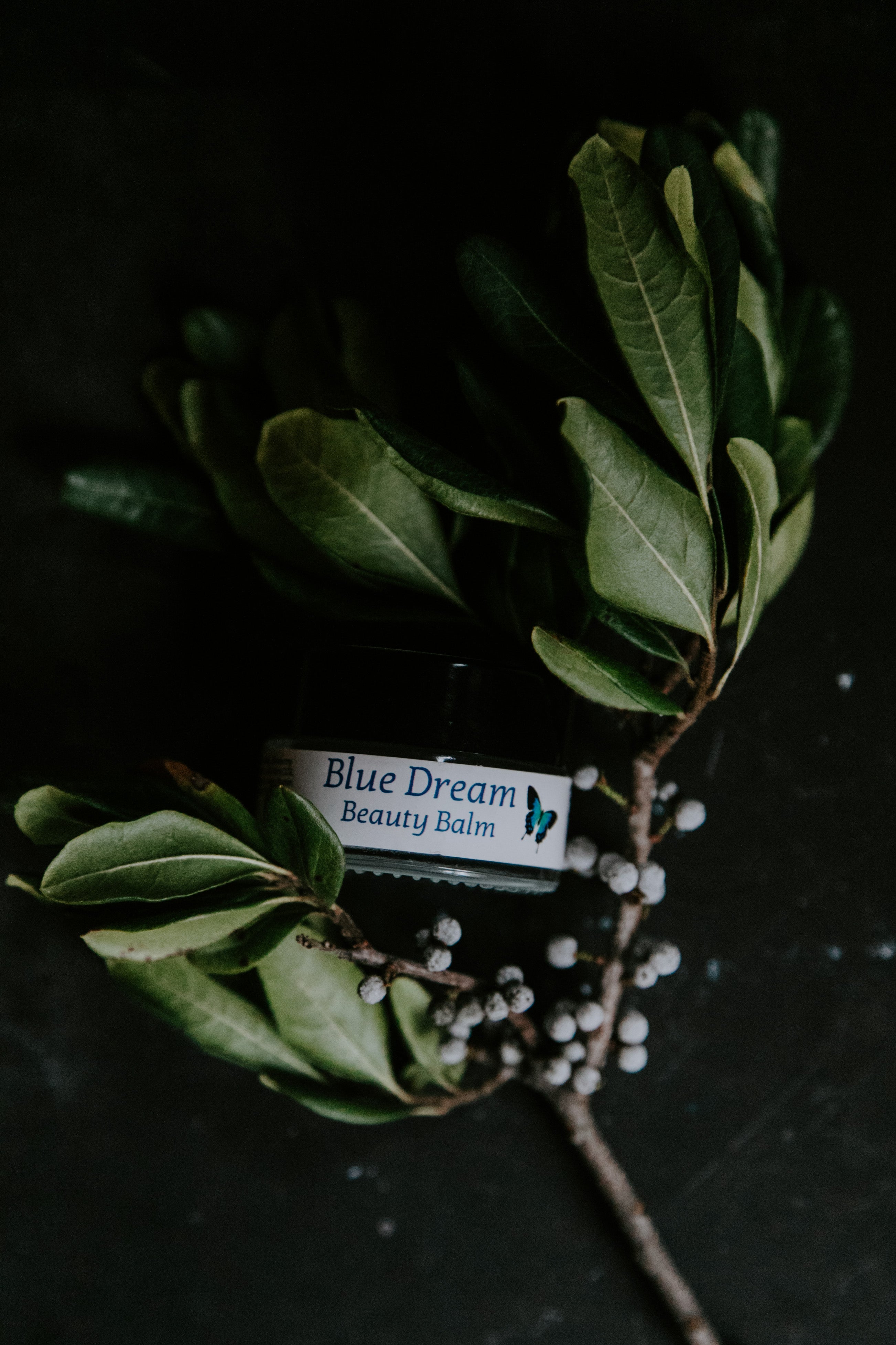 Blue Dream Beauty Balm