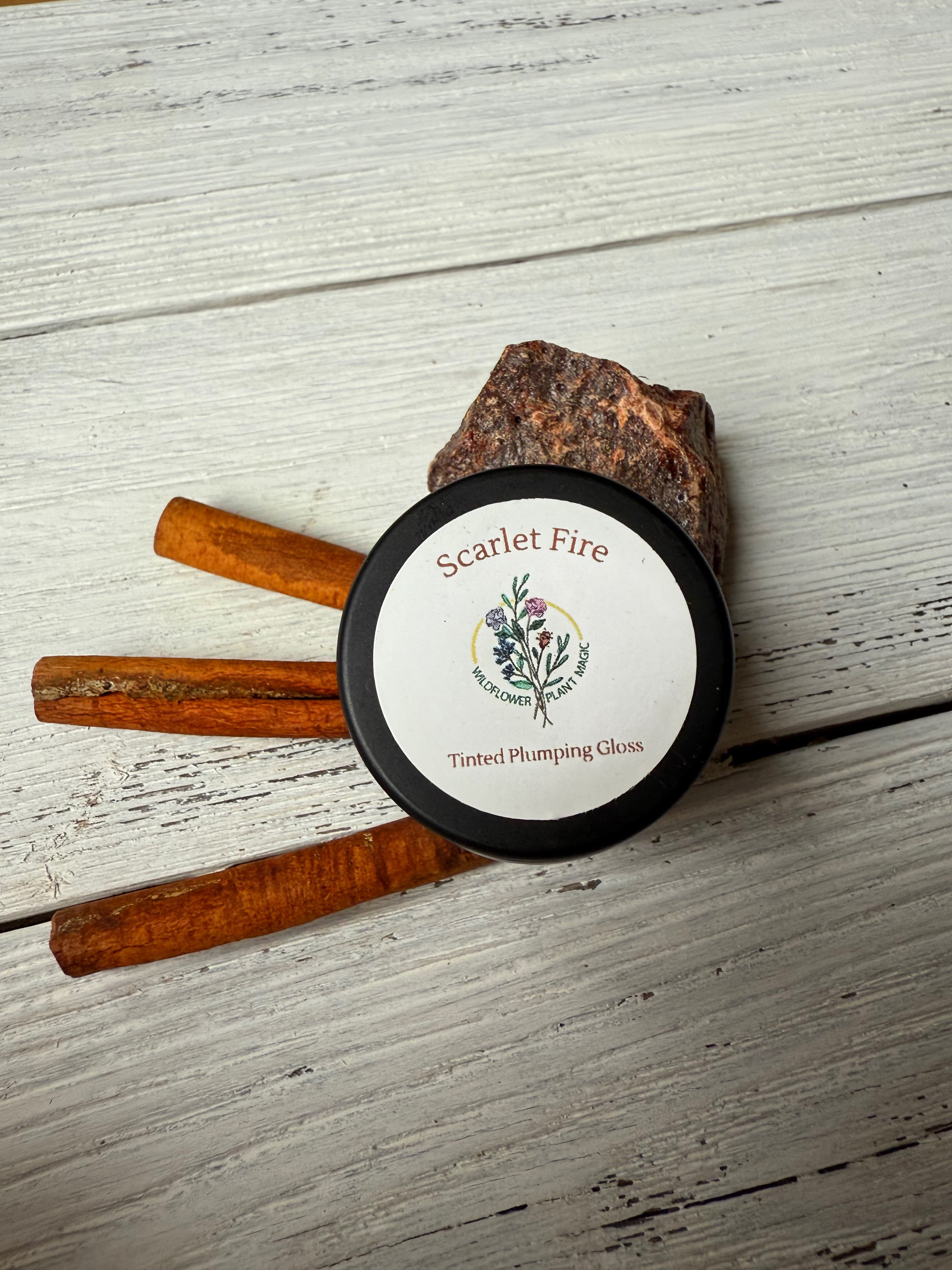 Tinted Plumping Lip Gloss